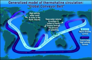 Generalized model of ocean circulation